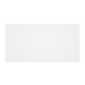 BIANCO BRILLO 20X50